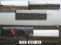 hier klicken